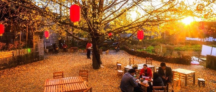 Tengchong Ginkgo Village
