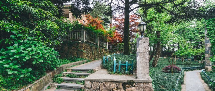 Moganshan Travel Guide