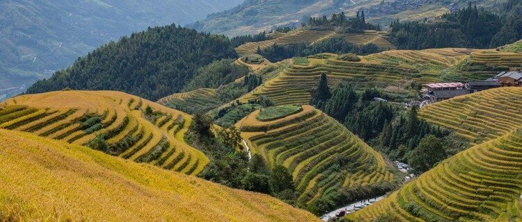 longji rice terraces 
