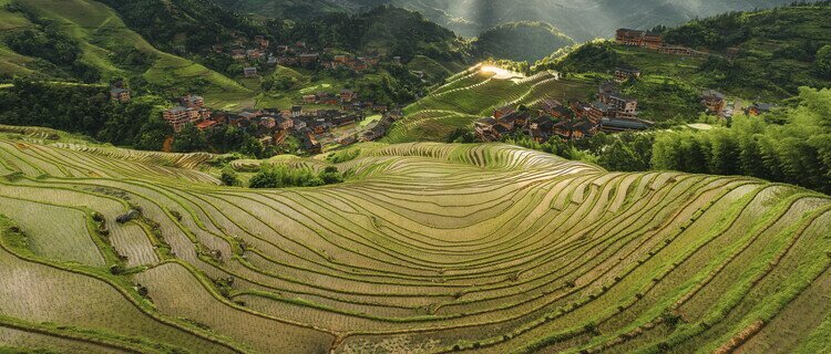 Longji Rice Terrace in March