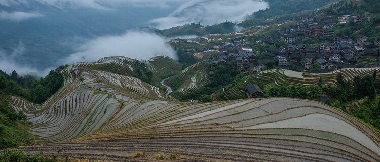 longji rice terraces