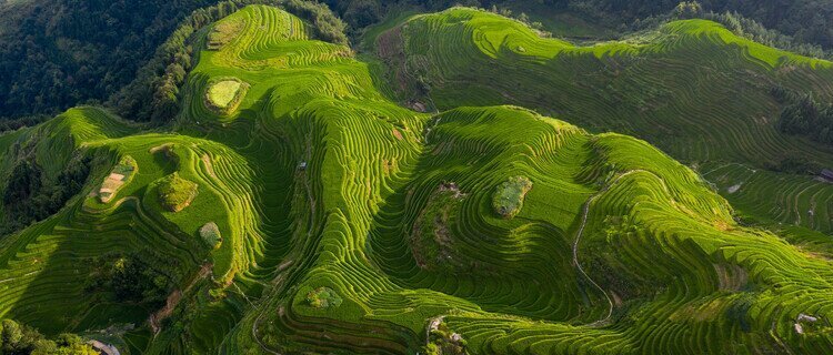 longji rice terraces