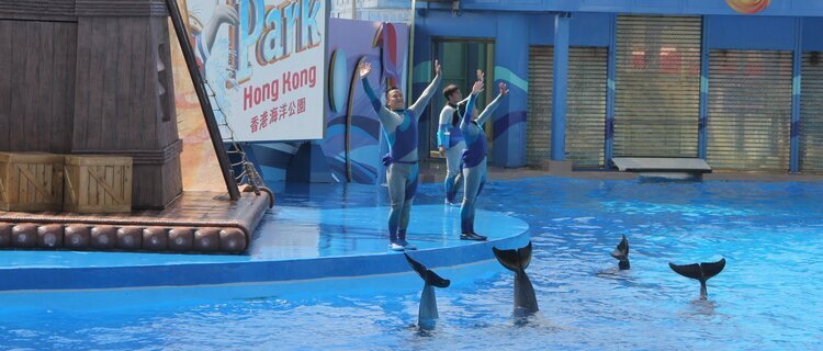 ocean park