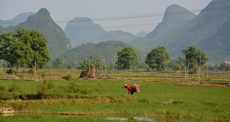 Yangshuo countryside landscape with karst hills and rice fields