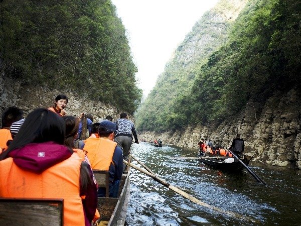 Shennong Stream