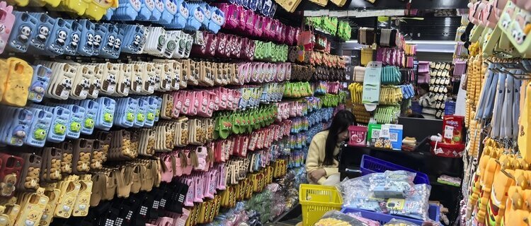 phone case store