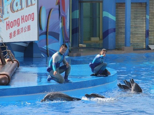 Hong Kong Ocean Park Ticket