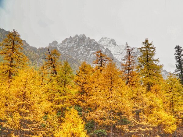 Daocheng Yading
