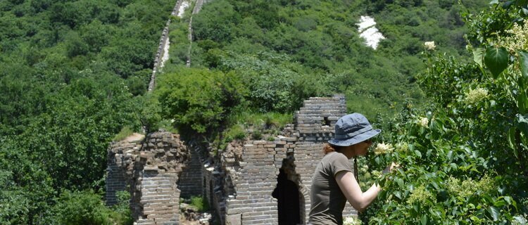 Jiankou Great Wall Hiking