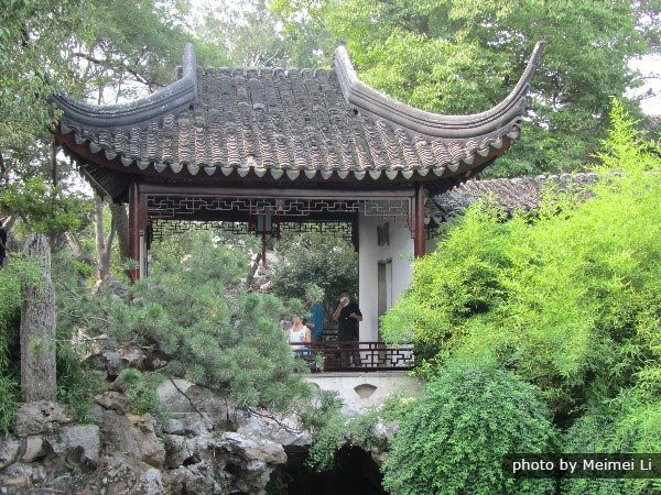 Lion Grove Garden