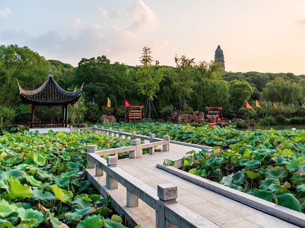 Tiger Hill