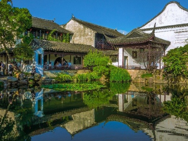 Master of Nets Garden