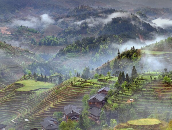 Longji Terraced Fields