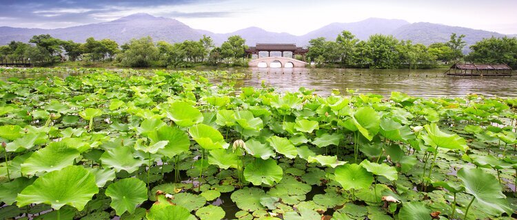 west lake