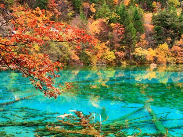 Jiuzhaigou in Autumn