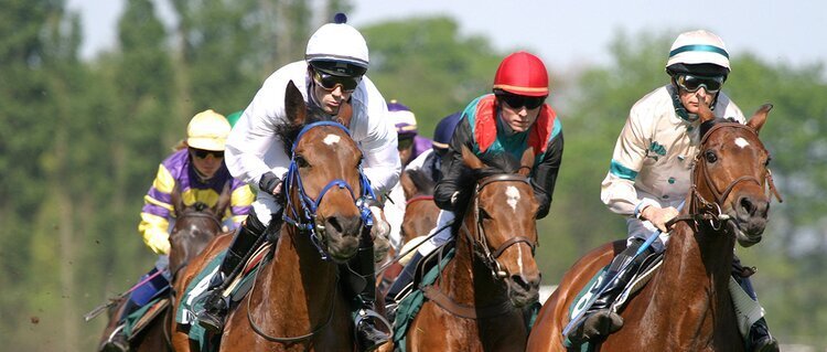 horse racing