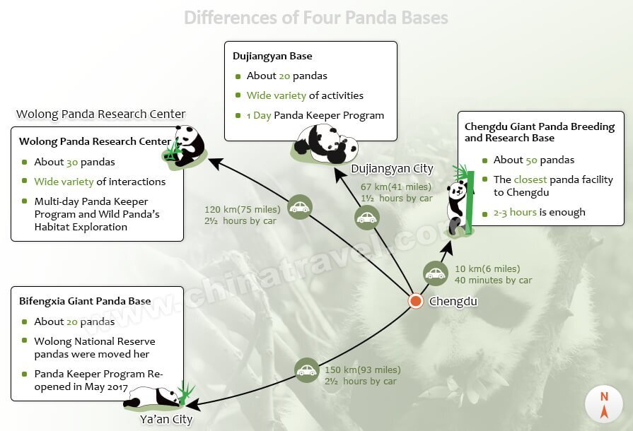 Top places to see giant pandas in China