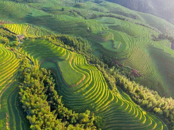 longji rice terraces