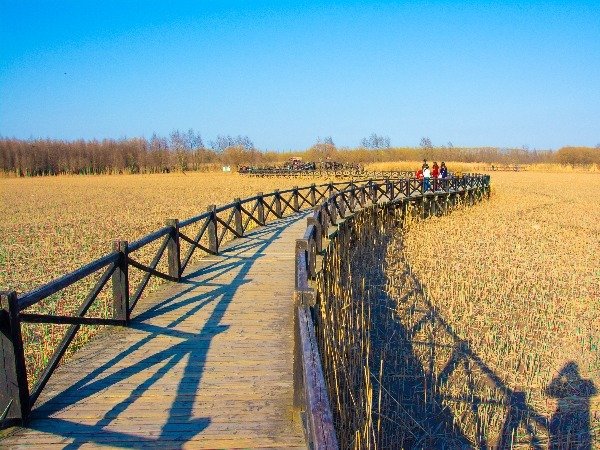 Chongming Island