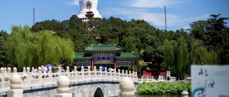 View Lotuses in Beihai Park