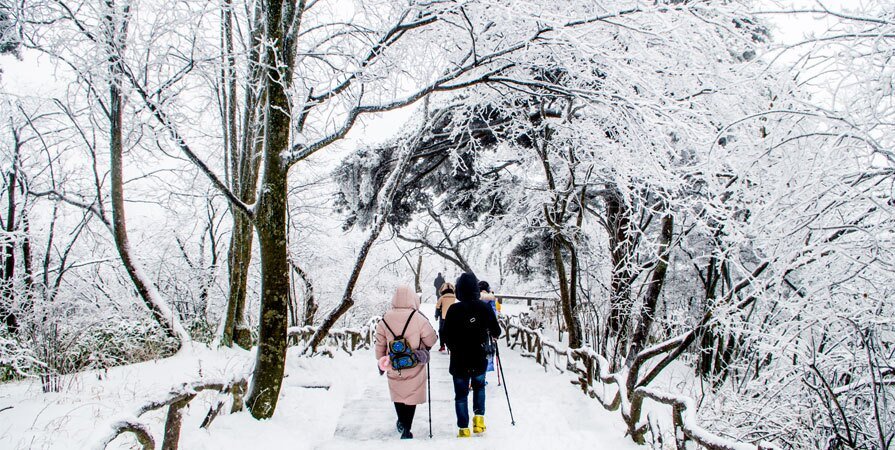 China Winter Tours: Harbin, Snow & Seasonal Routes — real travel scene