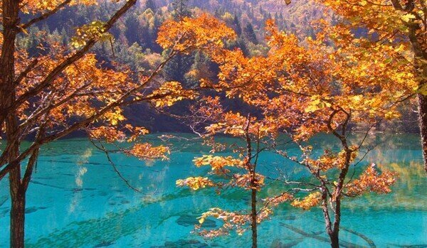 3-Day Jiuzhai Valley Fairyland Tour from Chengdu — real travel scene