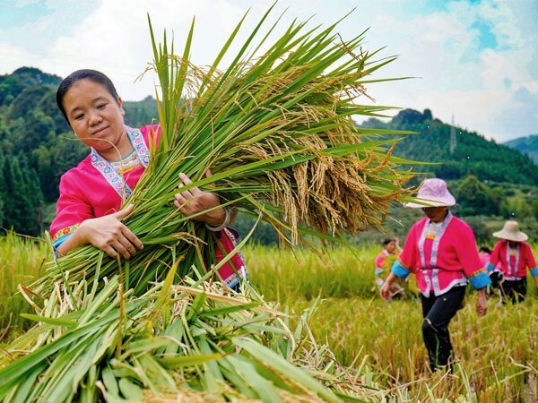 4-Day Guilin Scenery & Longsheng Ethnic Minorities Tour — real travel scene