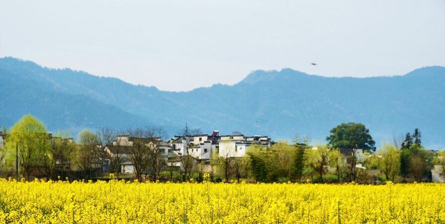 Nanping Village