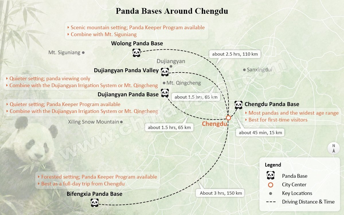Chengdu Panda And Leshan Giant Buddha Tour — real travel scene