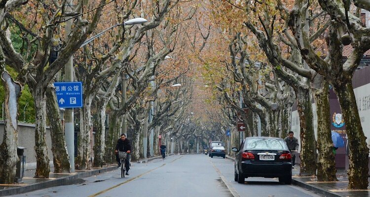 Shanghai Jiangnan Tour — real travel scene