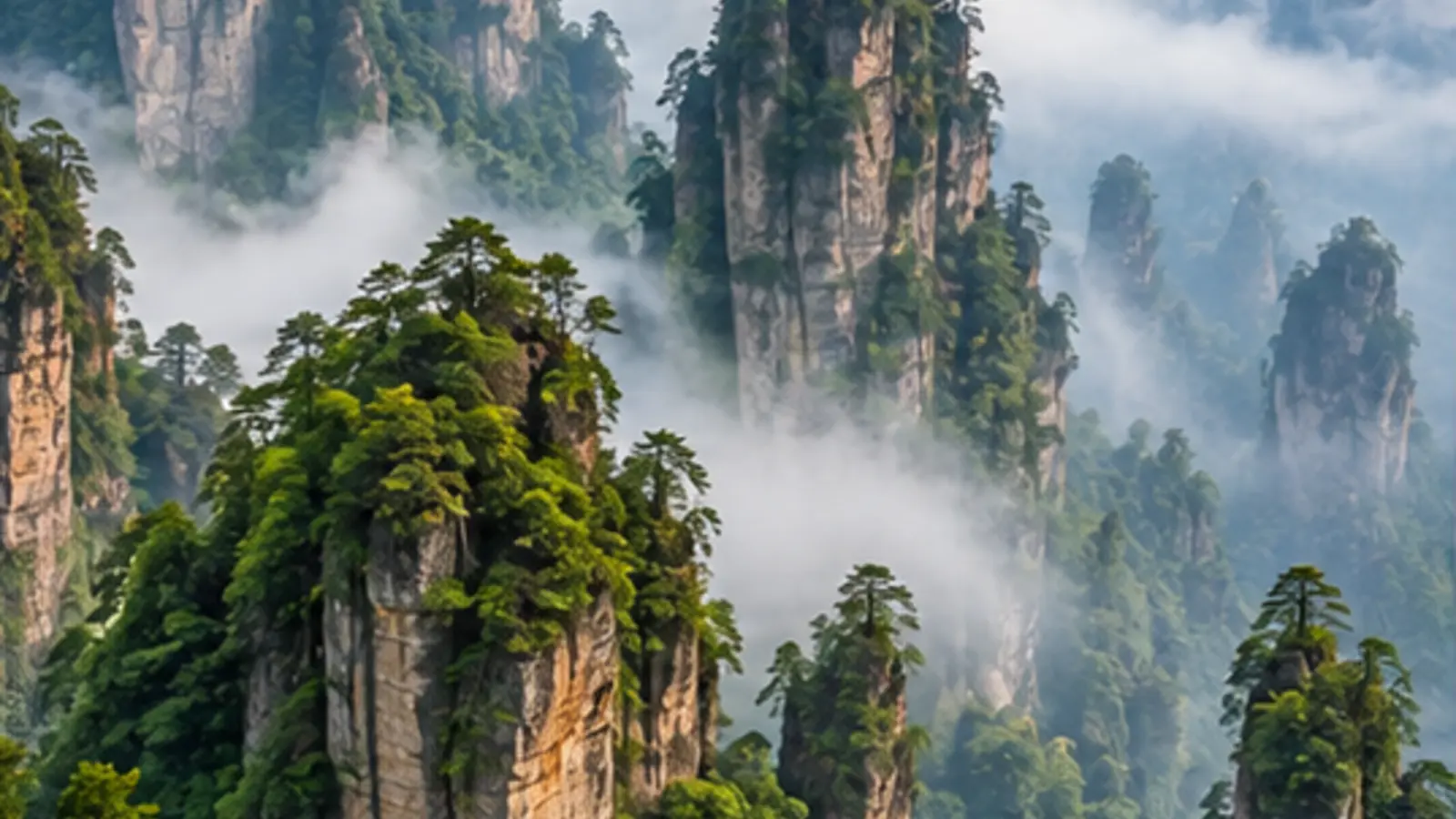 6-Day Zhangjiajie Avatar and Fenghuang History Tour — real travel scene