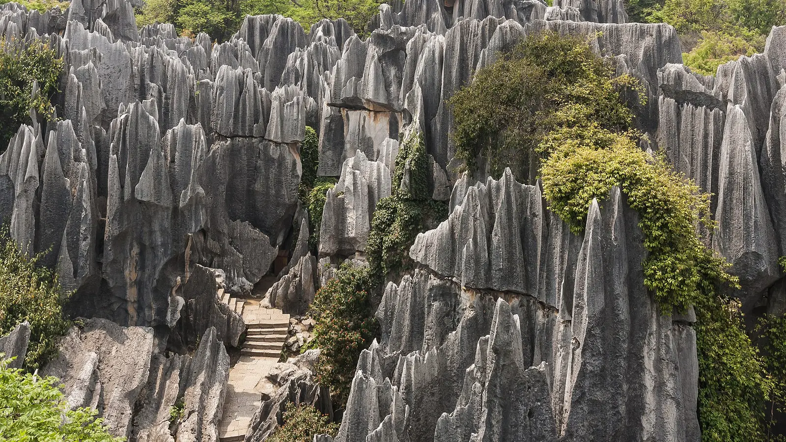 Stone Forest limestone landscape near Kunming on a classic Yunnan tour