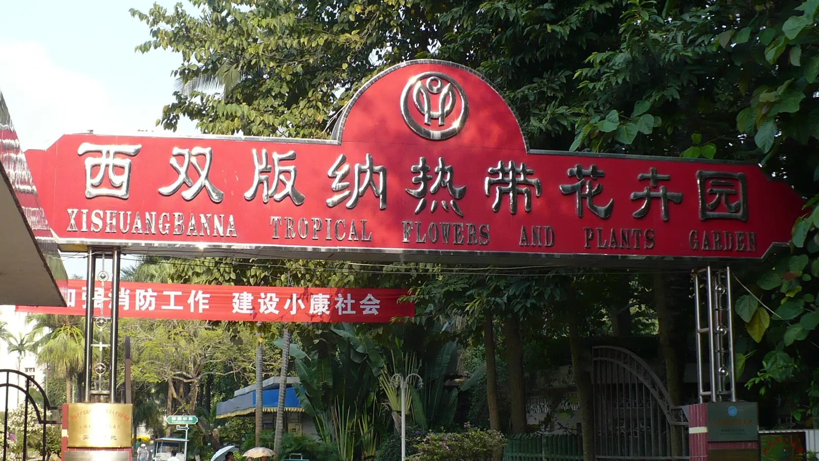 Tropical forest in Xishuangbanna on a fourteen-day wild Yunnan tour