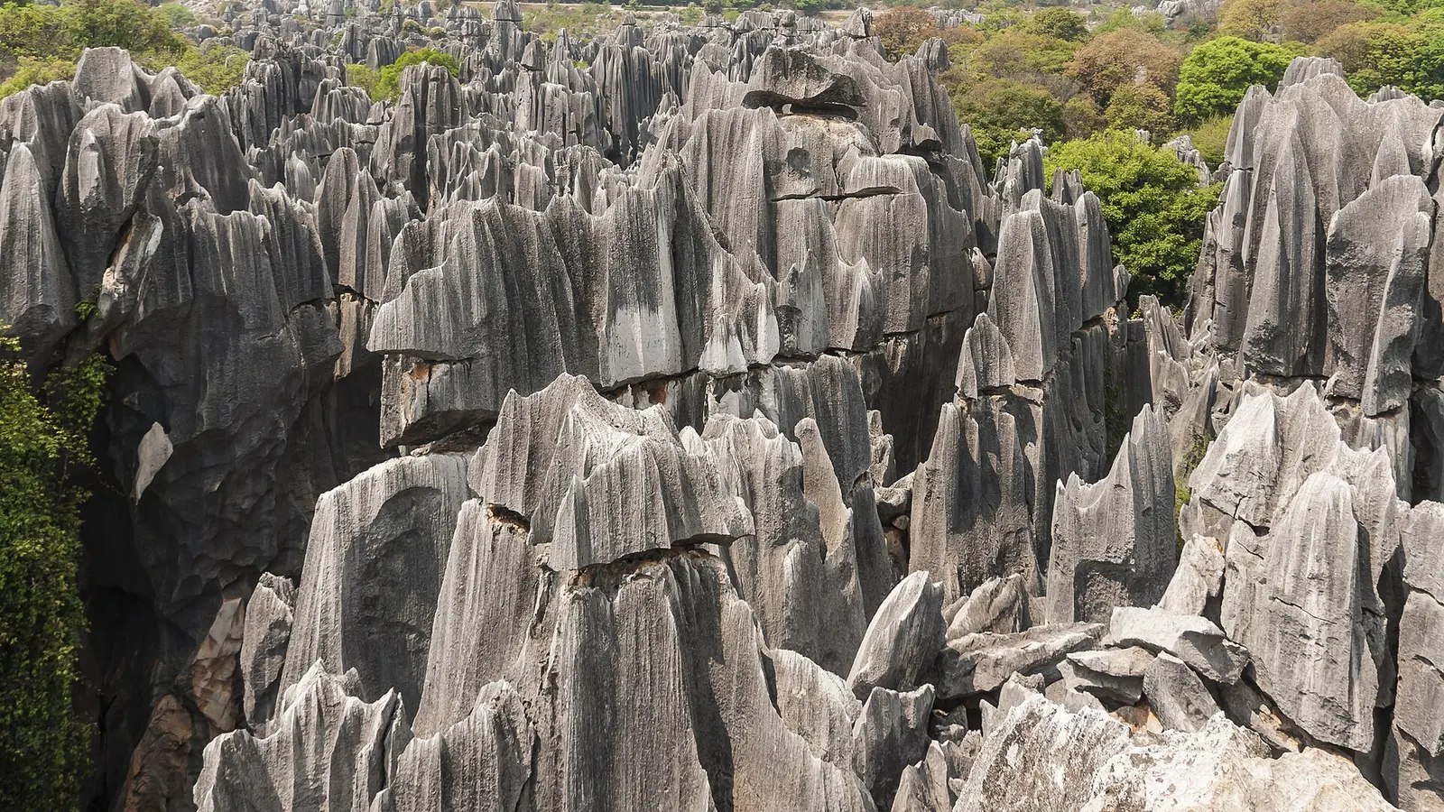 Limestone peaks of the Stone Forest near Kunming, Yunnan