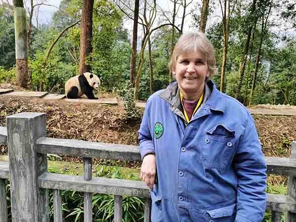 3-Day Wolong Panda Conservation Experience — real travel scene
